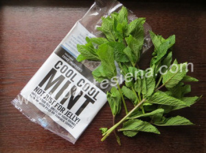 menta2